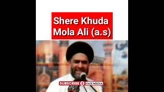 Mola ali (a.s) aur Malik e ashtar..allama ali raza rizvi sb whatsapp status | short