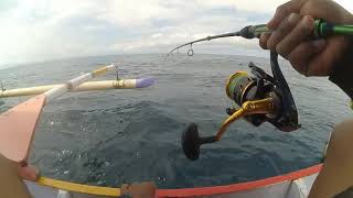 UMPAN TERBAIK MANCING DI LAUT || JEMPONG MANCING#JM-33