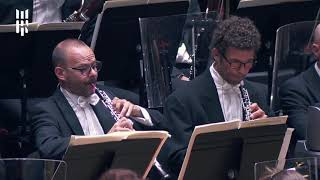 Symphonie n°49 en fa mineur, La Passion - Haydn [18/19]