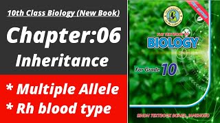 Multiple alleles| Biology class 10 chapter 6| Class 10 new biology book