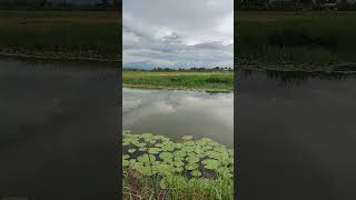 Penat karena rutinitas? tempat ini cocok banget deh.. sambil mancing ikan & menikmati alam