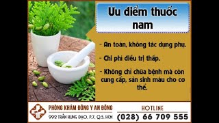 Cách chữa suy thận bằng thuốc nam tại nhà hiệu quả cao