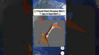 😱I Found Giant Dinosaur Bird🐦In Real life!?🤯On Google Earth Universal S2z🌎#maps #earth #viralshorts