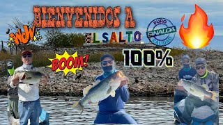 ¡¡¡Pescando LOBINA en SINALOA!!! ¡¡PRESA EL SALTO 2023!! Excelente experiencia🎣💯💯👌