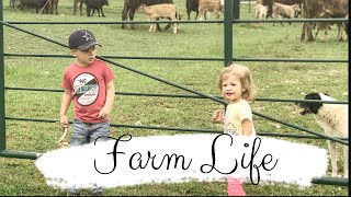 Busy Weekend| Cow Sale | Farm Life| DITL