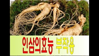 인삼의효능 성분 부작용 먹는법  보관방법 알아보아요~!