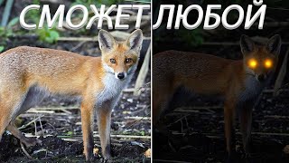 Делаем свечение за 2 минуты в Фотошопе | Photoshop tutorial