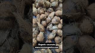 Organic coconut #coconut #organic