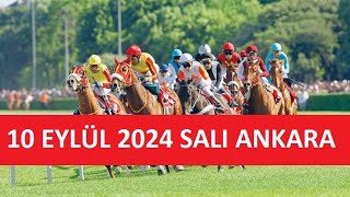 10 EYLÜL 2024 SALI ANKARA AT YARIŞI TAHMİNLERİ VE YORUMLARI