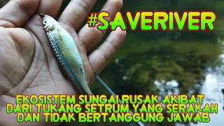 MUSIM KEMARAU MUSIM KEHANCURAN EKOSISTEM SUNGAI..! | Strum ikan merajalela