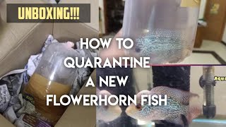 UNBOXING | How to quarantine a flowerhorn fish  | Aquapets & farm