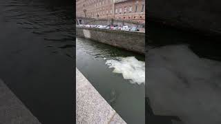 Ice in the river in Stockholm, Sweden