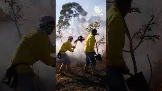 Aumento dos incêndios florestais extremamente graves #noticias #climatechange #foryou #incêndios