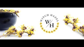 WH, WITCH HAZEL When nature take care for your skin