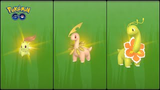 Pokemon Go: Evolving Shiny Chikorita into Shiny Bayleef & Shiny Meganium