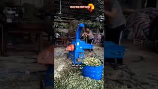 Chaff cutter machine for dairy farm #shorts #ytshorts #chaffcuuter