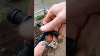 How to add dripline into your polytunnel