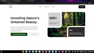 Modern Landing Page Tutorial || (HTML and CSS) || Simple Hero Section