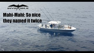 HOW TO: Mahi-Mahi Fishing with Invincible & Mercury Marine