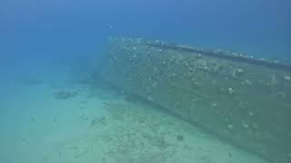 Black Sand Wreck, Curacao Jan. 2024