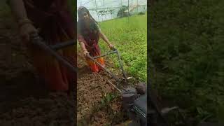 Good and Early Soil Preparation Through Power Mechanisation,Shyamra, Chhatarpur MP drbps,06/10/2024