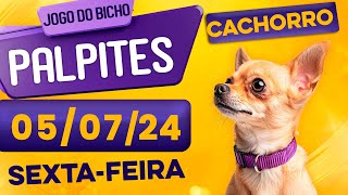 PALPITE DO DIA 05/07/2024 - JOGO DO BICHO 🍀 TODAS AS LOTERIAS 🍀