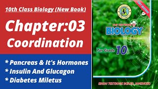 Pancreas class 10 | Biology class 10 chapter 3| Class 10 new biology book