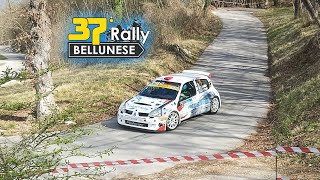 37° Rally Bellunese Full Attack & Show