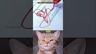 Best signature short #trending #cat #shortfeed #youtub #viralvideo