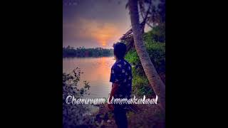 Cherathukal Song WhatsApp status ❤️,Sun Set⛅️,, Evening Vibes ❤️