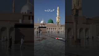 Be Khud Kiye Dete Hain | Syed Hassan Ullah Hussaini | Naat Status | Naat #viral #shorts