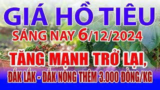 Giá tiêu hôm nay 6/12: tăng mạnh trở lại, Đắk Lắk - Đắk Nông thêm 3.000 đồng/kg