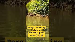 pergi kesting malah di dahului para suhu...|berang berang #fishing  #shorts #video @mbolang_fishing