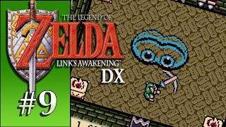 Legend of Zelda Links Awakening DX Blind Letsplay - Episode 09