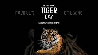 Happy International Tiger Day !!