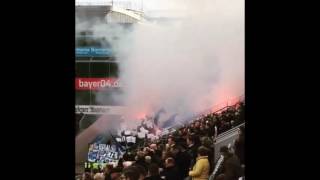 Pyro & Choreo - Darmstadt in Leverkusen (Bayer Leverkusen - Darmstadt 98 | 05.11.16)