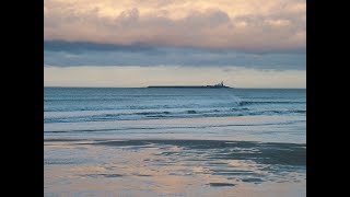 Coquet Island