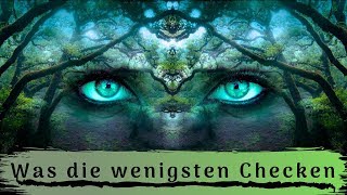 Bewusstsein und Erwachen - Die Essenz der Meditation (DER entscheidende Faktor)