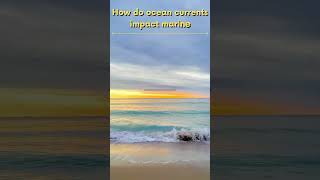 How do ocean currents impact marine migrations