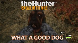 The Hunter - Call Of The Wild Episode 3