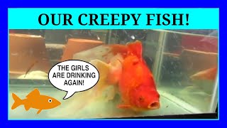 Episode 94 - Our Creepy Fish Halloween Special (Drink Like A Fish Episode) Strange fish behavior.