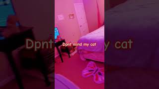 don't mind my cat like and subscribe if u like my room my cat is chiiln thank u bye