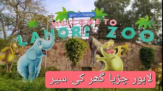 Lahore Zoo Vlog || Visit to Lahore Zoo 2023 @lifewithaizaakhtar