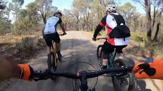 MTB Tracks - Quarry Hill & Spring Gully