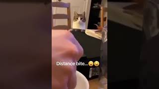 Distance Bite....😆😆 Best Funny Videos Compilation 1 #best #funny #videos #compilation #2024