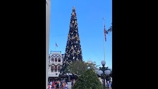 Disney World 2022: Day 1, Magic Kingdom, Pacos Bill, Enchanted Tiki Room, Ohana Dinner!