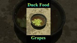 Duck Feed Grapes #Viral #Shorts