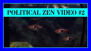 Take a Break From Politics! (Political Zen Part 2)