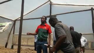 Greenhouse Field Day in Seke (Part 2)