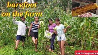 barefoot on the farm/ harvesting some vegetables